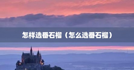 怎样选番石榴（怎么选番石榴）