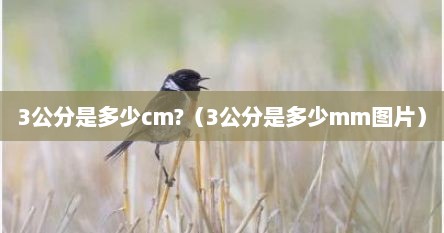3公分是多少cm?（3公分是多少mm图片）