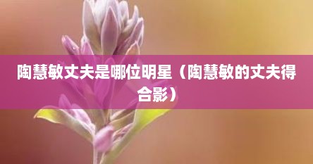 陶慧敏丈夫是哪位明星（陶慧敏的丈夫得合影）