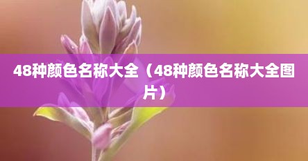 48种颜色名称大全(48种颜色名称大全图片)