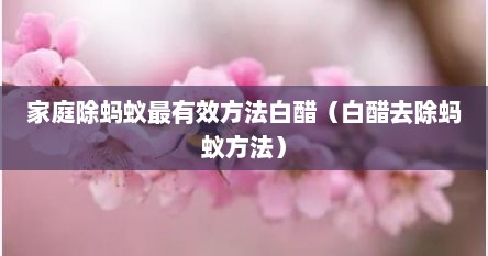家庭除蚂蚁最有效方法白醋（白醋去除蚂蚁方法）