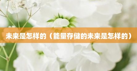 未来是怎样的（能量存储的未来是怎样的）