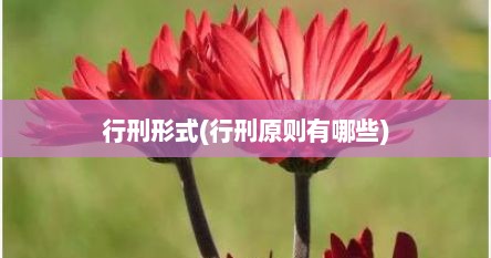 行刑形式(行刑原则有哪些)