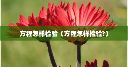 方程怎样检验（方程怎样检验?）