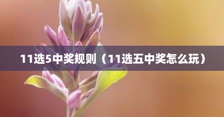 11选5中奖规则（11选五中奖怎么玩）