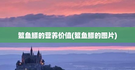 鳘鱼鳔的营养价值(鳘鱼鳔的图片)