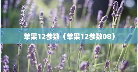 苹果12参数（苹果12参数08）