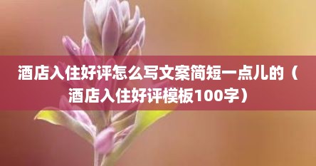 酒店入住好评怎么写文案简短一点儿的（酒店入住好评模板100字）