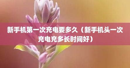 新手机第1次充电充多久（新手机第一次充电多少小时）