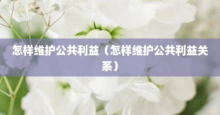 怎样维护公共利益（怎样维护公共利益关系）