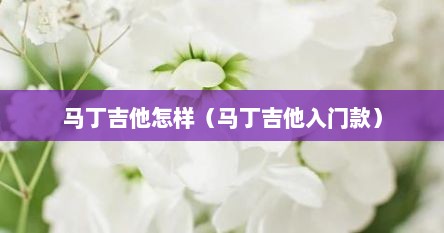 马丁吉他怎样（马丁吉他入门款）