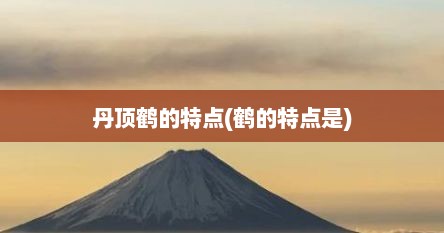 丹顶鹤的特点(鹤的特点是)