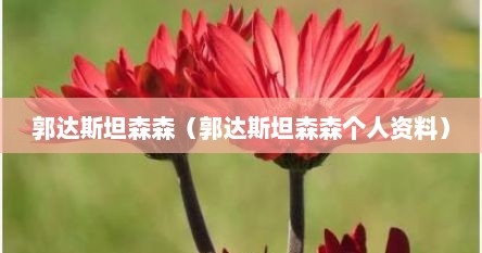 郭达斯坦森森（郭达斯坦森森个人资料）