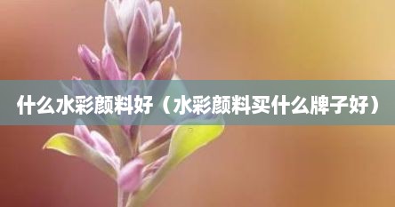 什么水彩颜料好（水彩颜料买什么牌子好）