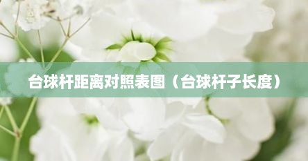 台球杆距离对照表图（台球杆子长度）
