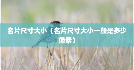 名片尺寸大小（名片尺寸大小一般是多少像素）