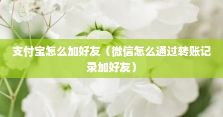支付宝怎么加好友（微信怎么通过转账记录加好友）