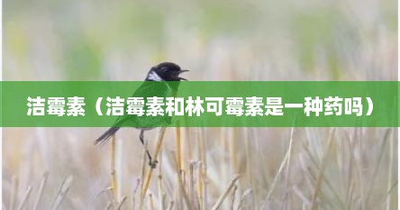洁霉素（洁霉素和林可霉素是一种药吗）
