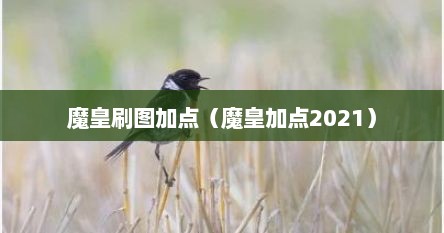 魔皇刷图加点（魔皇加点2021）