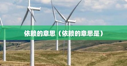 依赖的意思（依赖的意思是）
