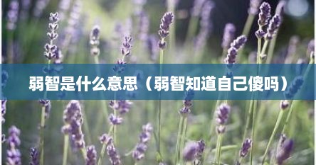 弱智是什么综合症（弱智的弱智是什么意思）