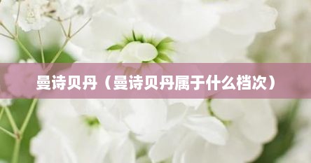 曼诗贝丹（曼诗贝丹属于什么档次）