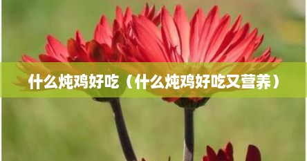 什么炖鸡好吃（什么炖鸡好吃又营养）