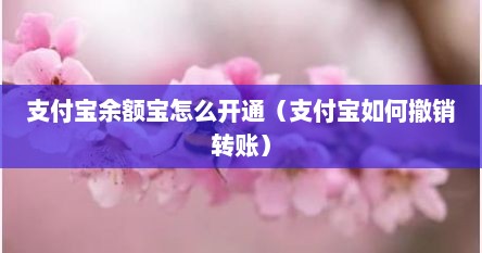 支付宝余额宝怎么开通（支付宝如何撤销转账）