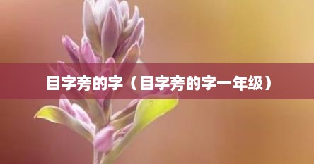 目字旁的字（目字旁的字一年级）