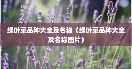 绿叶菜品种大全及名称（绿叶菜品种大全及名称图片）