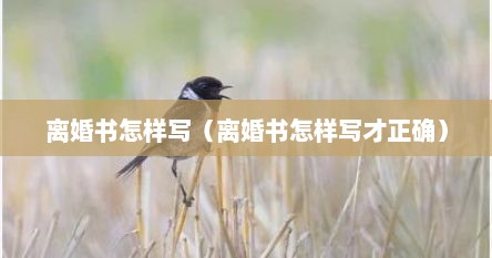 离婚书怎样写（离婚书怎样写才正确）
