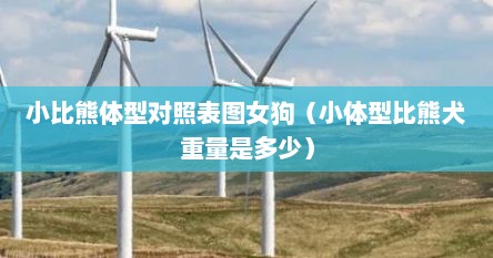 小比熊体型对照表图女狗（小体型比熊犬重量是多少）