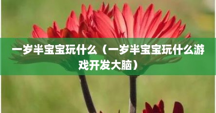 一岁半宝宝玩什么（一岁半宝宝玩什么游戏开发大脑）