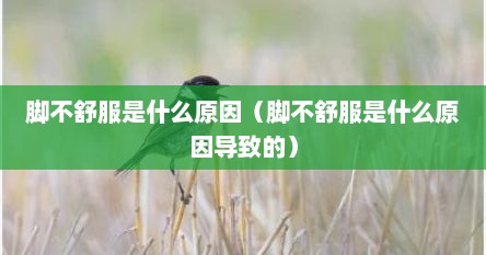 脚不舒服是什么原因（脚不舒服是什么原因导致的）