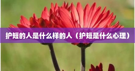 护短的人是什么样的人（护短是什么心理）