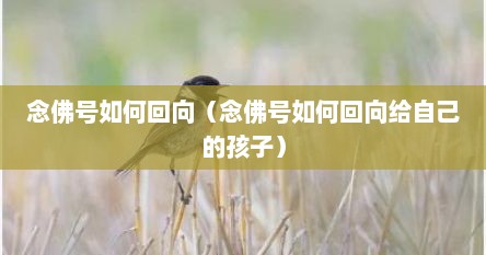 念佛号如何回向（念佛号如何回向给自己的孩子）