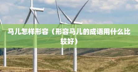 马儿怎样形容（形容马儿的成语用什么比较好）