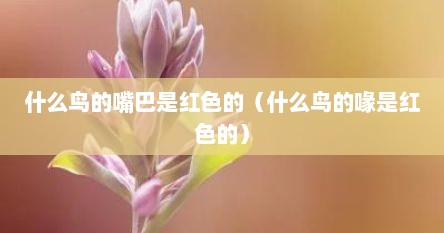 什么鸟的嘴巴是红色的（什么鸟的喙是红色的）