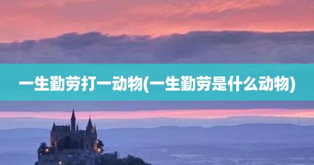 一生勤劳打一动物(一生勤劳是什么动物)