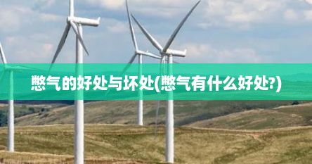 憋气的好处与坏处(憋气有什么好处?)