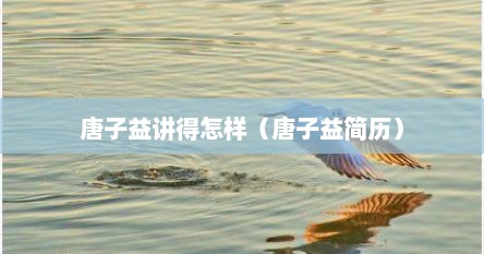 唐子益讲得怎样（唐子益简历）