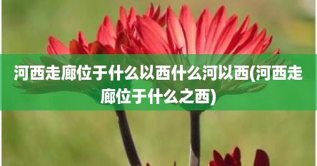 河西走廊位于什么以西什么河以西(河西走廊位于什么之西)