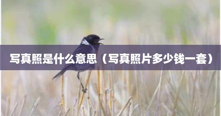 写真照是什么意思（写真照片多少钱一套）