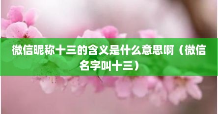 微信昵称十三的含义是什么意思啊（微信名字叫十三）
