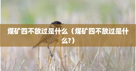 煤矿四不放过是什么（煤矿四不放过是什么?）