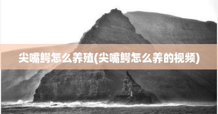 尖嘴鳄怎么养殖(尖嘴鳄怎么养的视频)