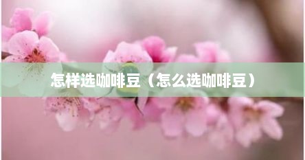 怎样选咖啡豆（怎么选咖啡豆）