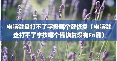 电脑键盘打不了字按哪个键恢复（电脑键盘打不了字按哪个键恢复没有Fn键）
