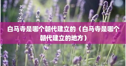 白马寺是哪个朝代建立的（白马寺是哪个朝代建立的地方）