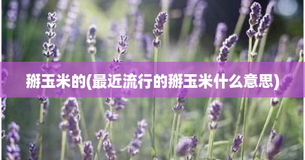 掰玉米的(最近流行的掰玉米什么意思)